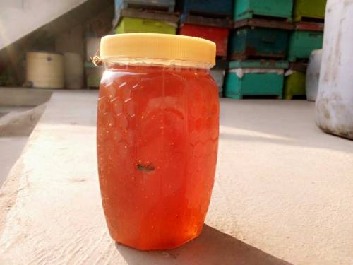 pure beri natural honey