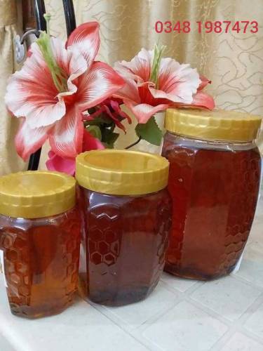 pure natural berry honey 