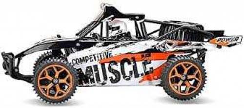 hobby grade Rc car