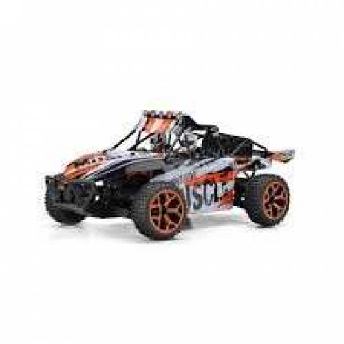 hobby grade Rc car