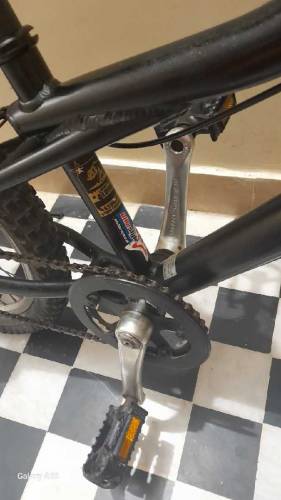 Imported Bicycle GT Stromper 20