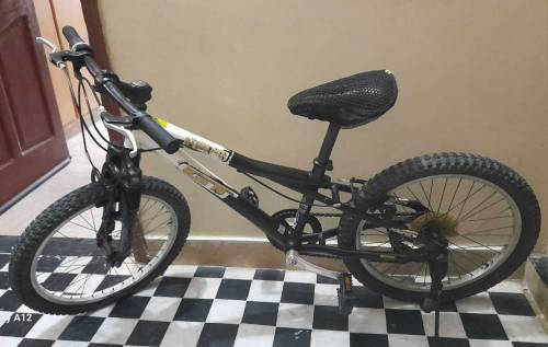 Imported Bicycle GT Stromper 20