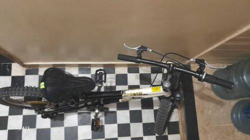 Imported Bicycle GT Stromper 20