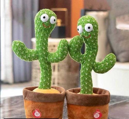 Dancing Cactus 