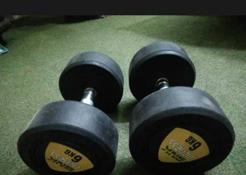 dumbbell 6 kg pair