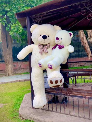 Teddy bear best gift for weeding or birthday 
