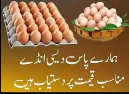 Desi Eggs 