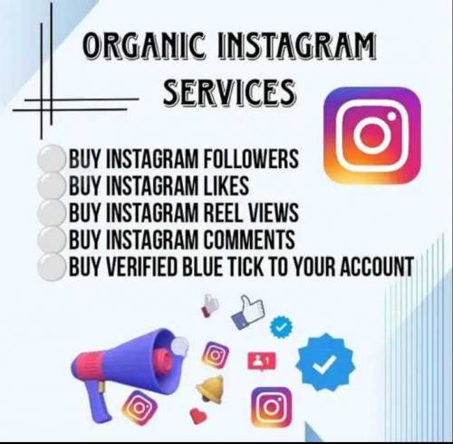 Social Media Services