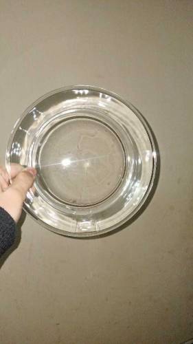 Glass Plates(can be used as Bowl), Great For Microwave Purpose