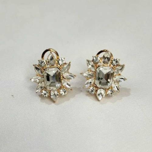 elegant earrings 