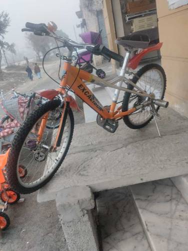 Excalibur Gear System Cycle ( Size - 22 ) 0315-1206074