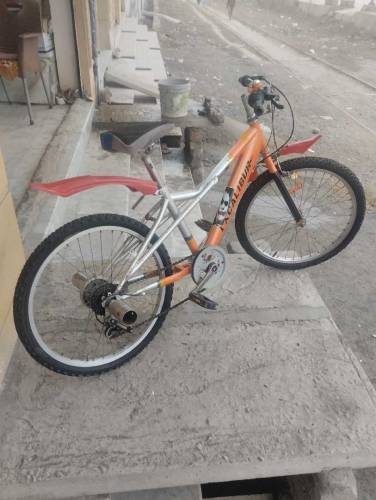 Excalibur Gear System Cycle ( Size - 22 ) 0315-1206074