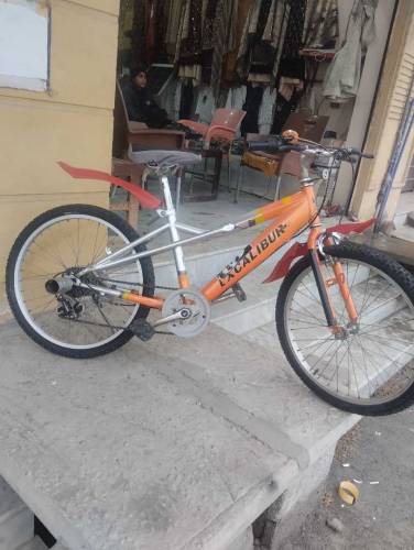 Excalibur Gear System Cycle ( Size - 22 ) 0315-1206074
