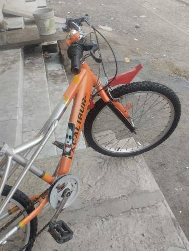 Excalibur Gear System Cycle ( Size - 22 ) 0315-1206074
