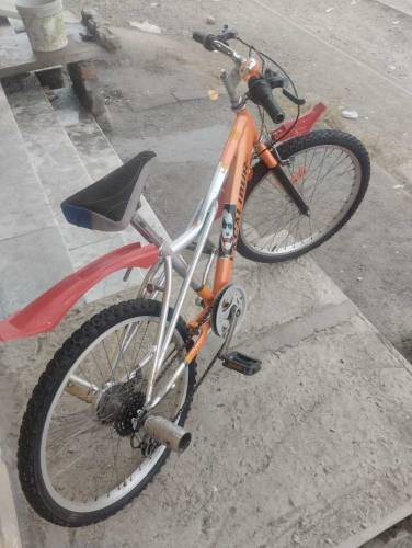 Excalibur Gear System Cycle ( Size - 22 ) 0315-1206074