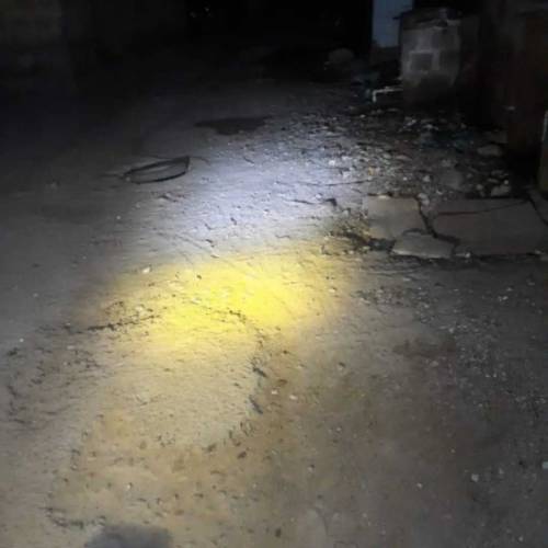 Universal Fog Light with free delivery 