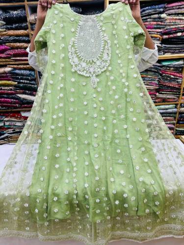Net stuff gown style Thread,Tilla and pearl work on front and back