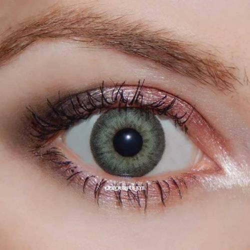 soft and comfortable lens daily wear 7 To 8 Hour