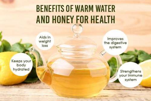 SLIM & FIT HONEY 