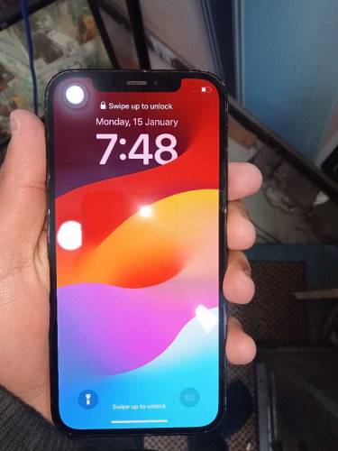 12 pro