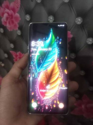 Lg velvet non pta