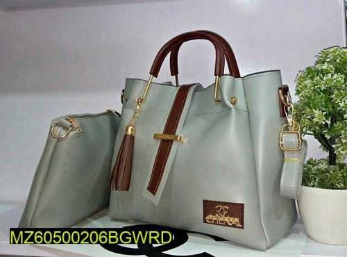 woman hand bag