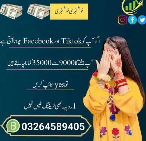 مہنت صرف مزدوری کا نام نہیں گھر بیٹھے بھی پیسے کمائیں جا سکتے ہیں