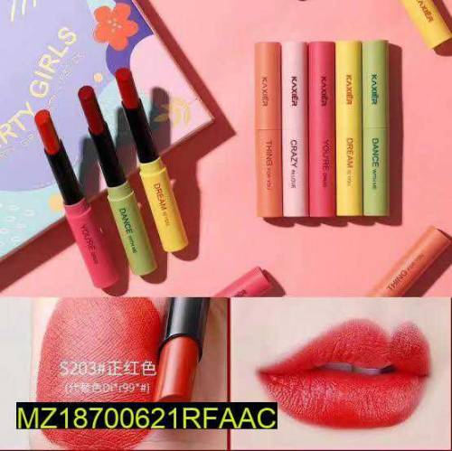 Lipstick Palette Pack of 5