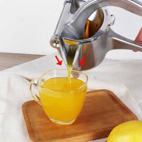 Fruit Press Juicer Free Delivery.