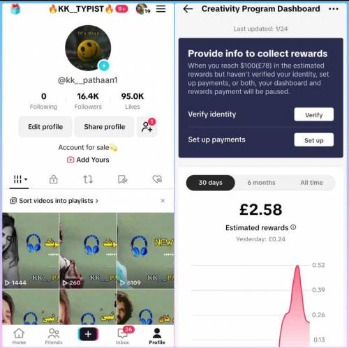 TikTok USA Monnotiz Accounts available 