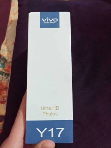 Vivo Y17