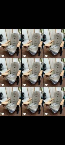 Auditorium Fancy Chairs
