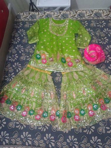 Organza Heavy Embroidered Mehndi Dress