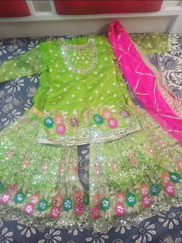 Organza Heavy Embroidered Mehndi Dress