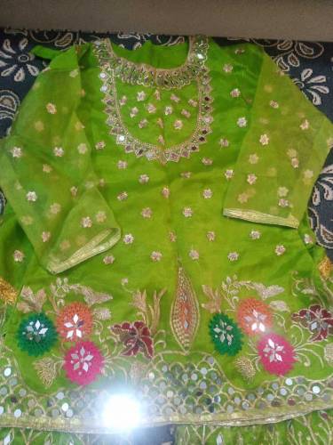 Organza Heavy Embroidered Mehndi Dress