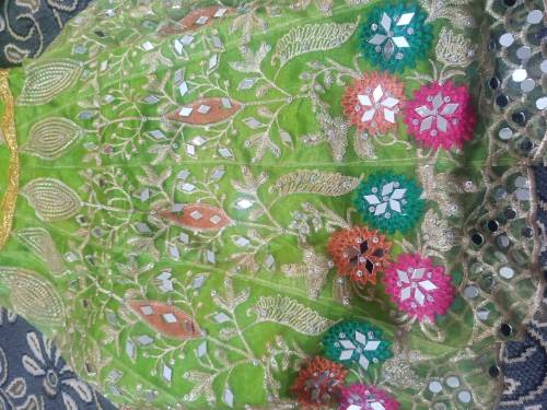 Organza Heavy Embroidered Mehndi Dress