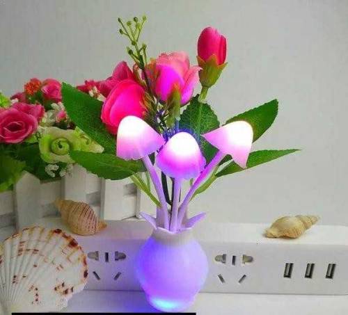 Night Lamp