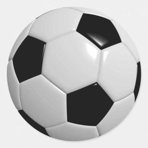 Standard Leather Football 