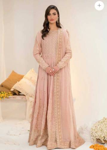 fancy Embroidered Raw silk suit