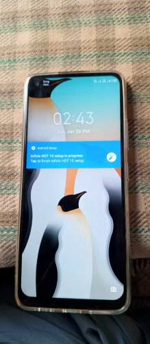 infinix hot 10 full box 