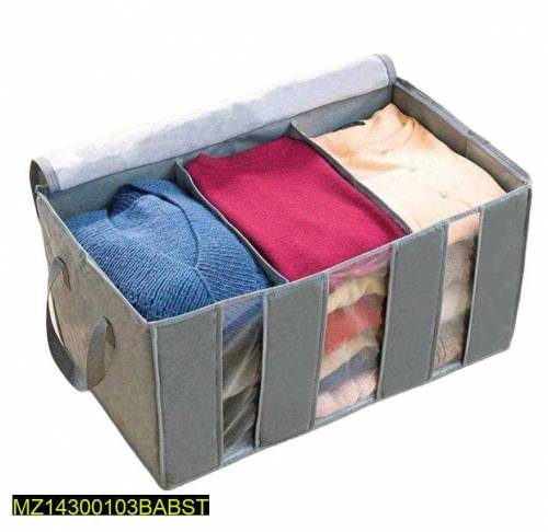 Compartment Storage Organizer 