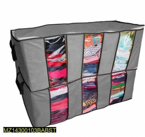 Compartment Storage Organizer 