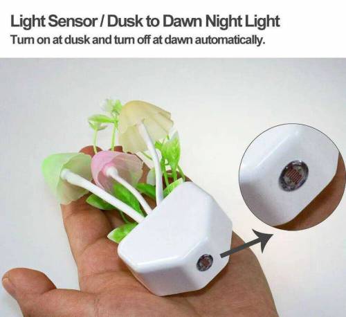 LED Decorative Lights
