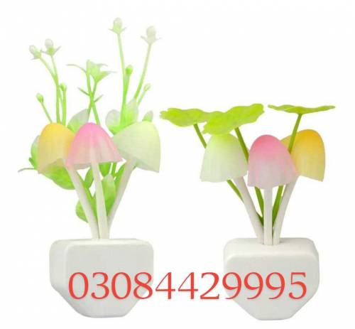 LED Decorative Lights