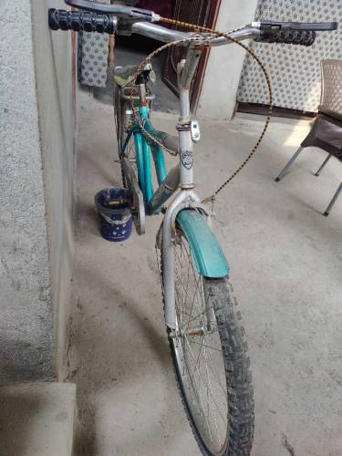 cycle 