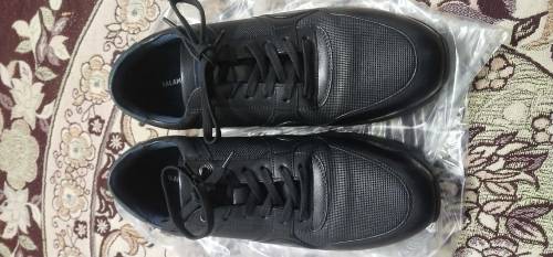 SALAMANDER  Authentic & Original