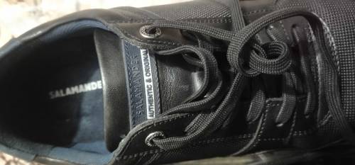 SALAMANDER  Authentic & Original