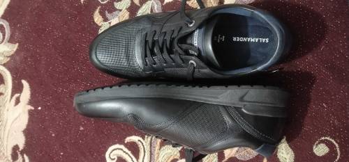 SALAMANDER  Authentic & Original