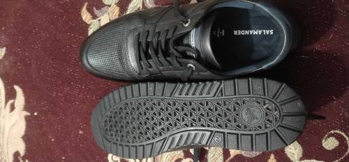 SALAMANDER  Authentic & Original
