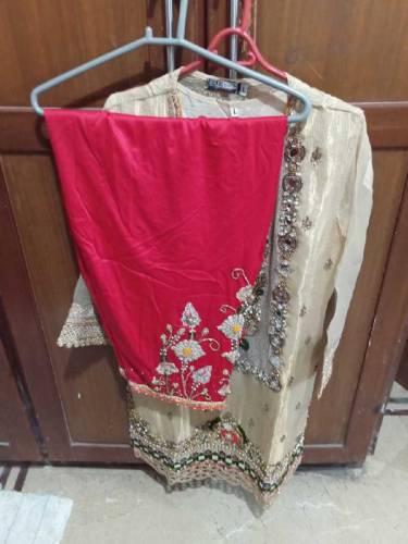 mirror work on sleeves ,shirt embroidery and work on also shalwar 